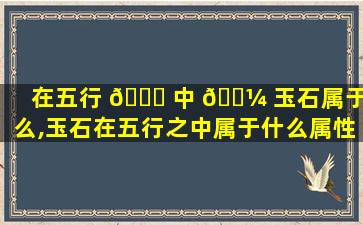 在五行 🐎 中 🐼 玉石属于什么,玉石在五行之中属于什么属性